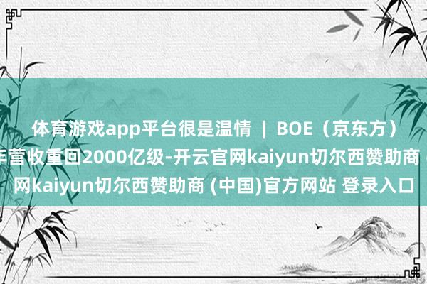体育游戏app平台很是温情  |  BOE（京东方）发布2025年年报，全年营收重回2000亿级-开云官网kaiyun切尔西赞助商 (中国)官方网站 登录入口