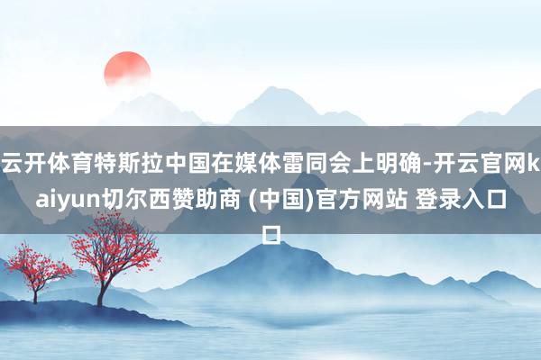 云开体育特斯拉中国在媒体雷同会上明确-开云官网kaiyun切尔西赞助商 (中国)官方网站 登录入口