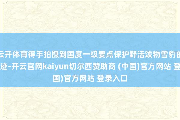 云开体育得手拍摄到国度一级要点保护野活泼物雪豹的步履轨迹-开云官网kaiyun切尔西赞助商 (中国)官方网站 登录入口